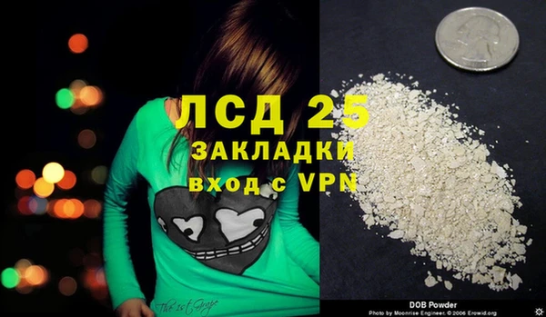 spice Магас