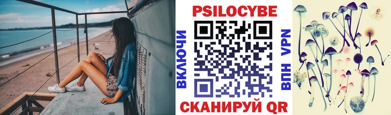 Псилоцибиновые грибы Psilocybe  Черняховск 