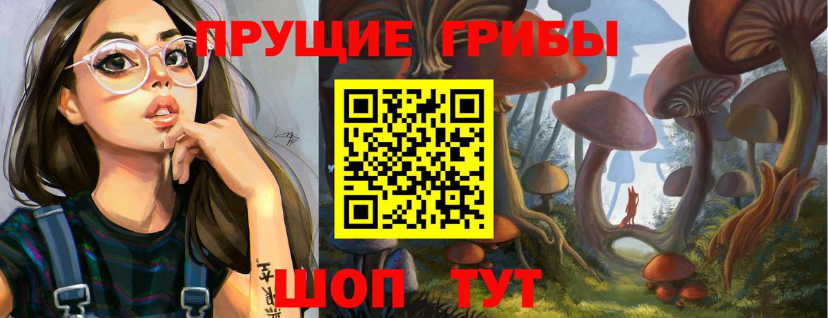Черняховск  Галлюциногенные грибы мухоморы  Вход с VPN  купить наркоту  Галлюциногенные грибы GOLDEN TEACHER 