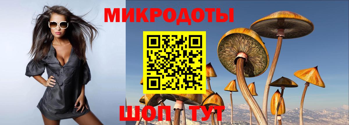 Псилоцибиновые грибы GOLDEN TEACHER Черняховск