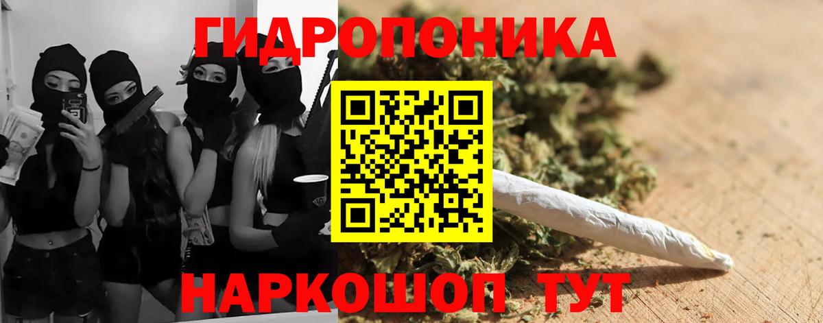 Каннабис план  Бошки Шишки планчик  Черняховск  Вход с VPN  Конопля планчик 